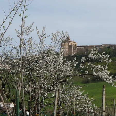 Casa Di Tony *